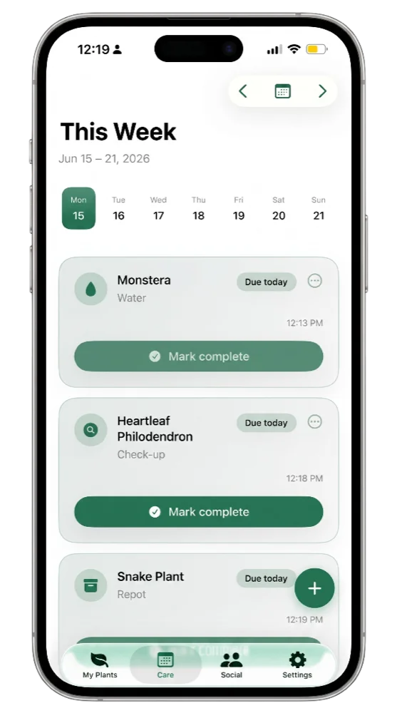 PlantMD weekly care schedule showing watering and check-up tasks for a Monstera, a heartleaf philodendron, and a snake plant