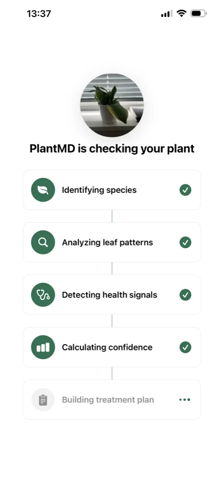 PlantMD working through a scan: identifying species, analyzing leaf patterns, detecting health signals, and calculating confidence
